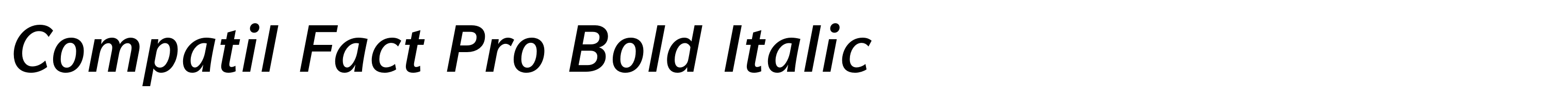 Compatil Fact Pro Bold Italic